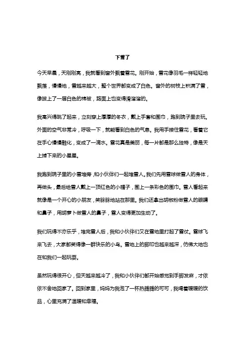 下雪了作文精选5篇5