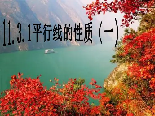 人教版数学《平行线的性质》精美课件1