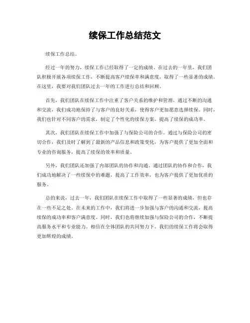 续保工作总结范文