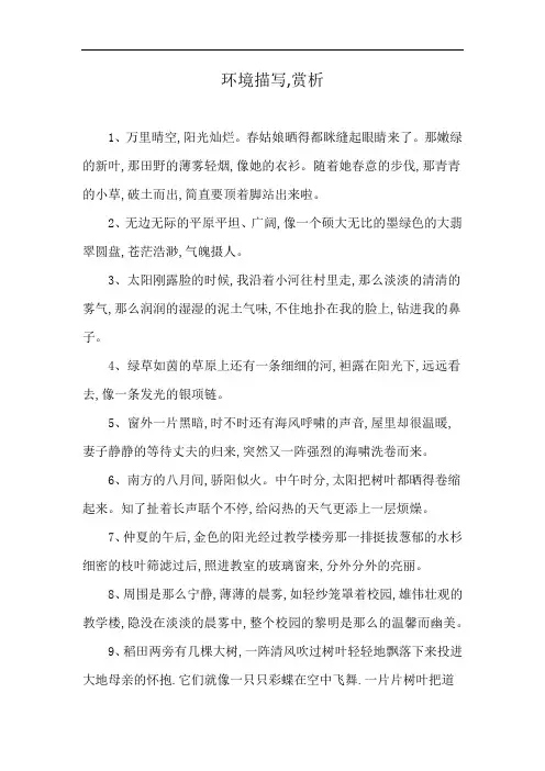 环境描写,赏析