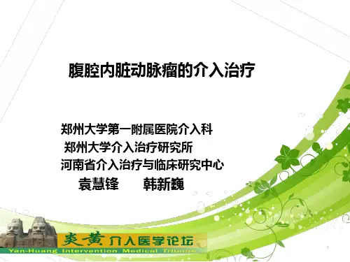 内脏动脉瘤的介入栓塞治疗PPT课件