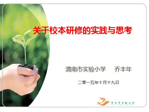 关于校本研修的实践与思考——乔丰年ppt