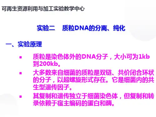 质粒DNA的分离`纯化