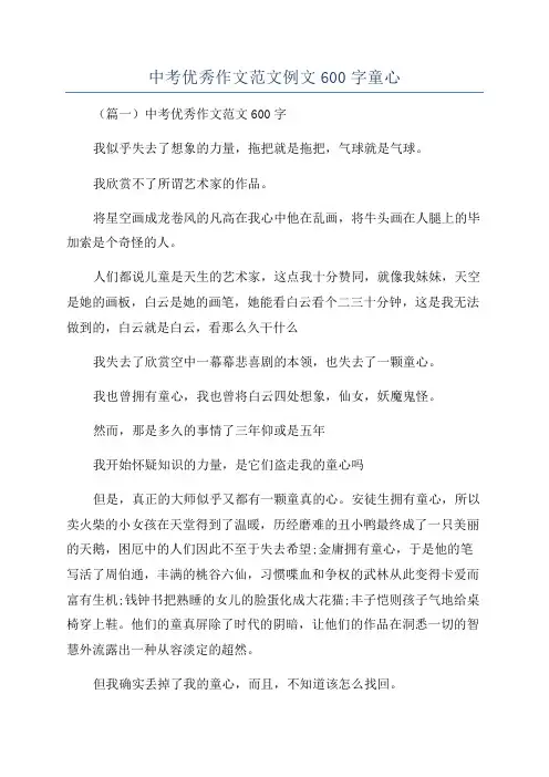中考优秀作文范文例文600字童心