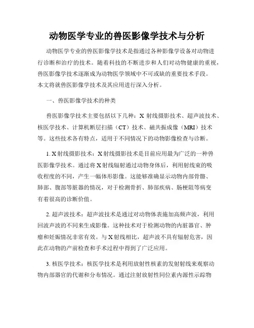 动物医学专业的兽医影像学技术与分析