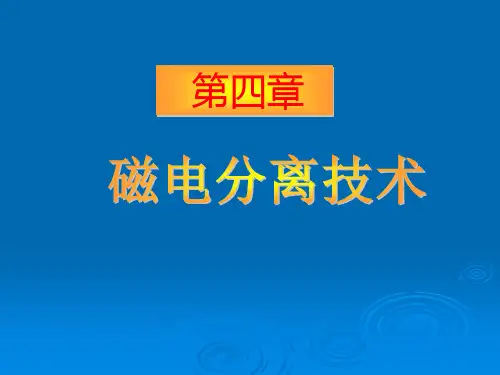 磁电选
