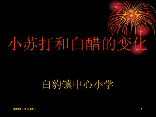 小苏打和白醋的变化总结PPT课件
