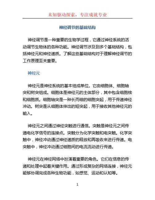 神经调节的基础结构