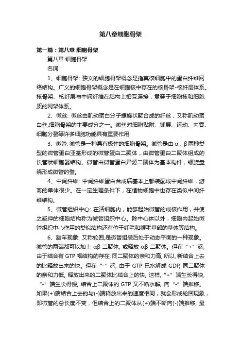第八章细胞骨架