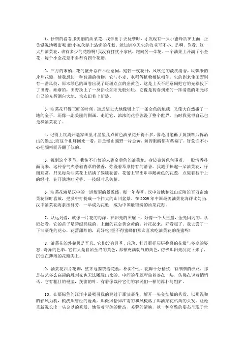 描写油菜花的句子
