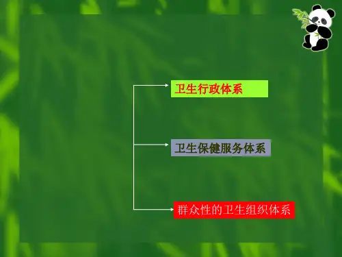 我国的卫生保健服务体系PPT课件