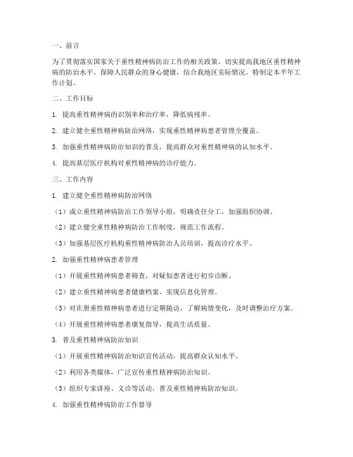 重性精神病半年工作计划
