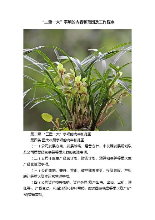 “三重一大”事项的内容和范围及工作程序