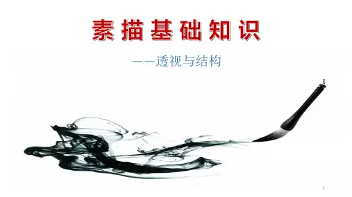 素描基础知识透视与结构ppt课件