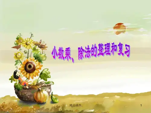 五年级小数乘、除法总复习归纳.ppt