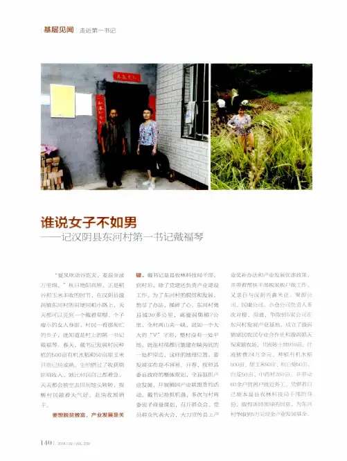 谁说女子不如男——记汉阴县东河村第一书记戴福琴