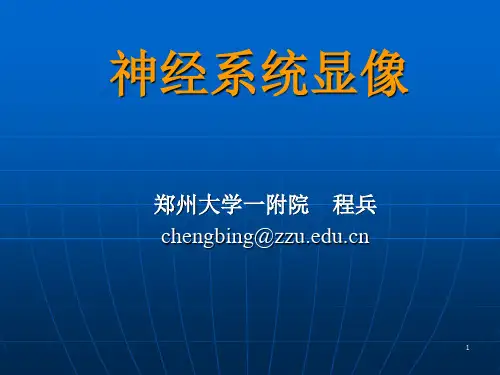 脑显像2012