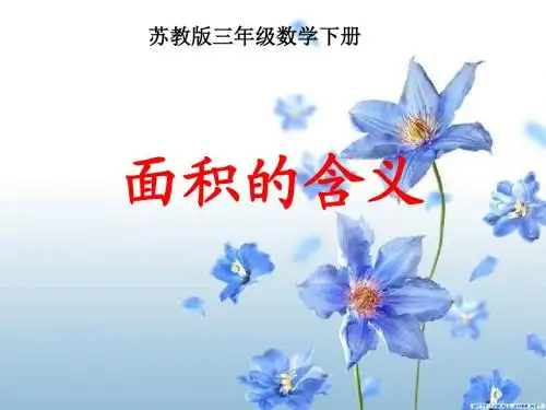 三年级数学面积的含义课件