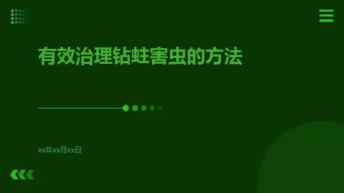 有效治理钻蛀害虫的方法