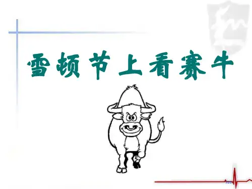 雪顿节上看赛牛1市名师优质课赛课一等奖市公开课获奖课件
