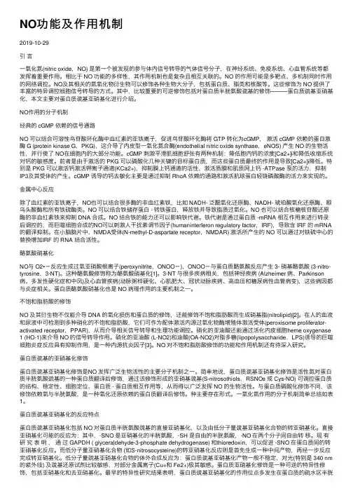 NO功能及作用机制