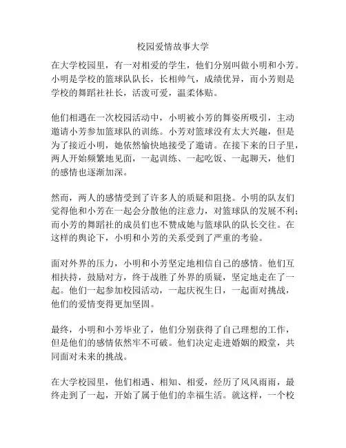 校园爱情故事大学