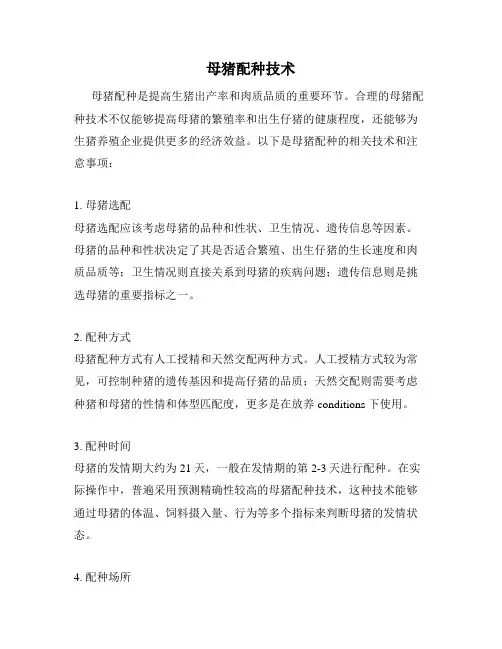 母猪配种技术