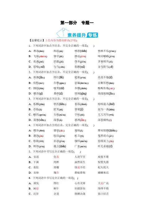 字音、字形及书写—云南省2021年中考语文二轮复习(含答案)