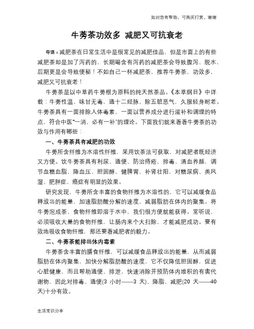 牛蒡茶功效多 减肥又可抗衰老