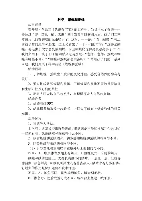 大班科学：蝴蝶和蛾