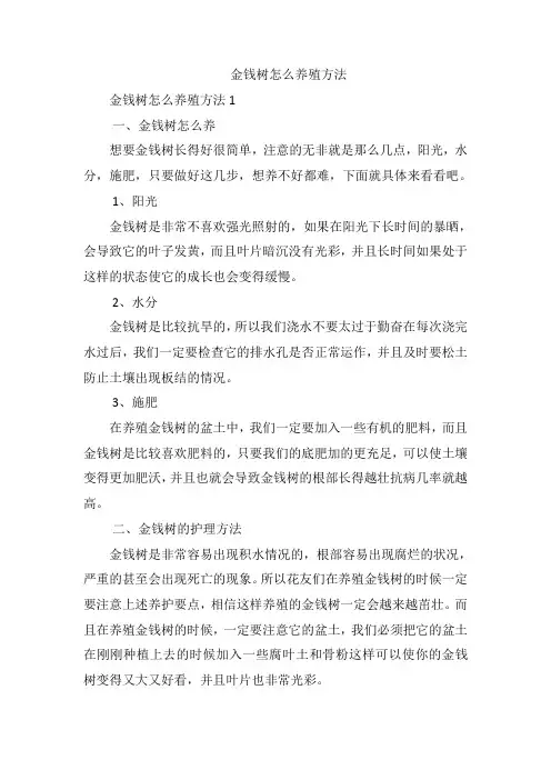 金钱树怎么养殖方法