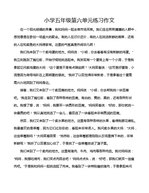 小学五年级第六单元练习作文