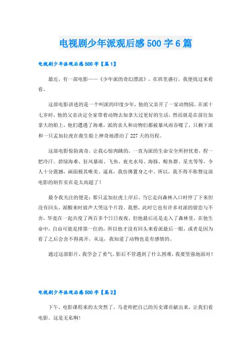 电视剧少年派观后感500字6篇