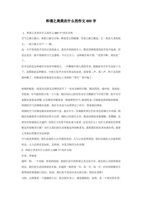 和谐之美美在什么的作文600字