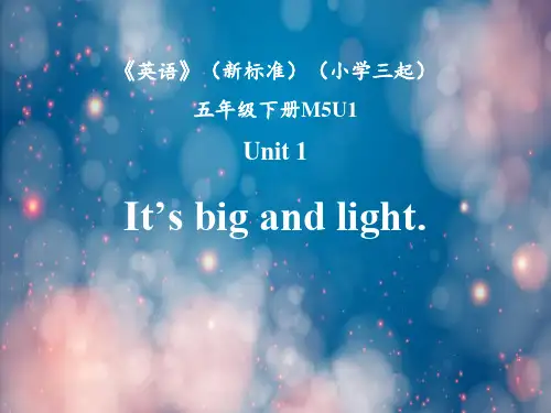 2023外研版五年级英语下册(三起)3It's big and light