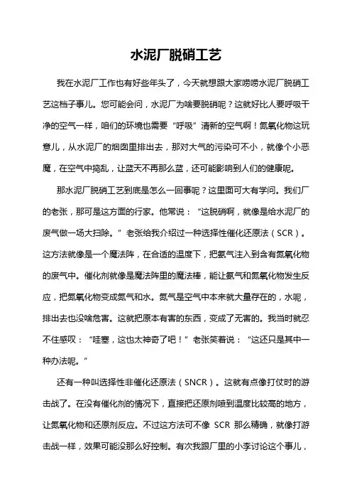 水泥厂脱硝工艺
