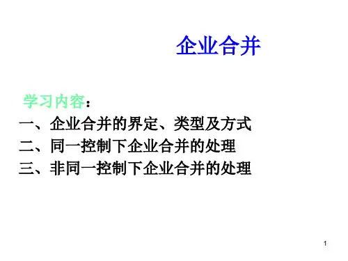 高级财务会计 企业合并1