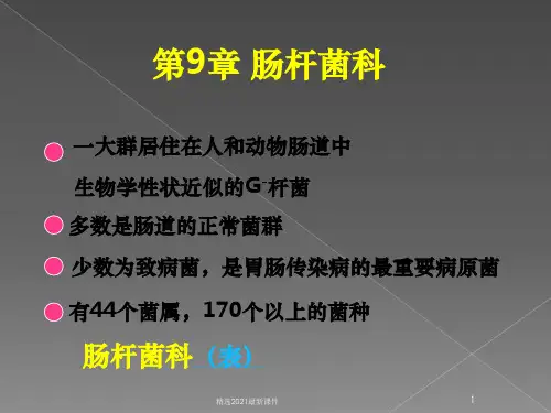 大肠杆菌(1)PPT课件