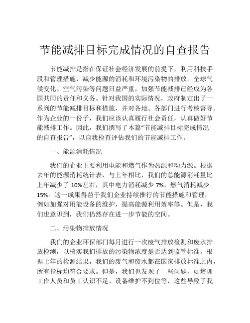节能减排目标完成情况的自查报告