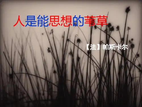 人是能思想的苇草