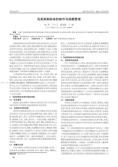 鸟类剥制标本的制作与保藏管理