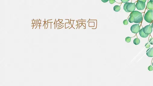 2025年中考语文一轮复习专项：辨析修改病句之成分残缺或赘余课件