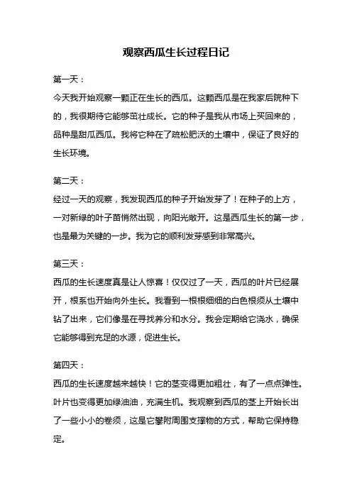 观察西瓜生长过程日记