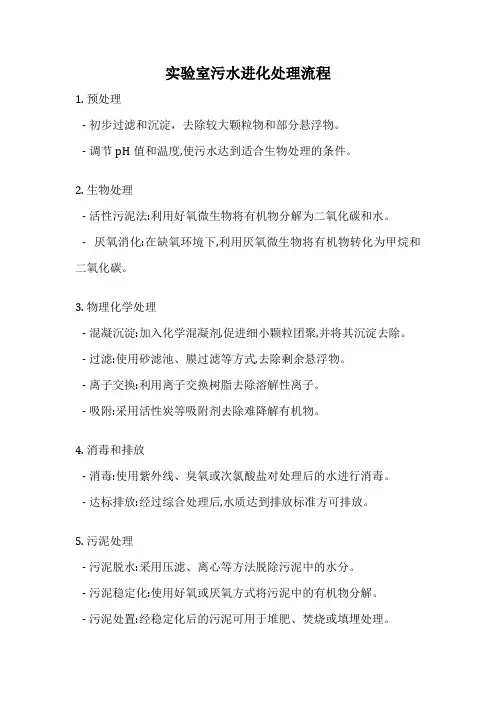 实验室污水进化处理流程