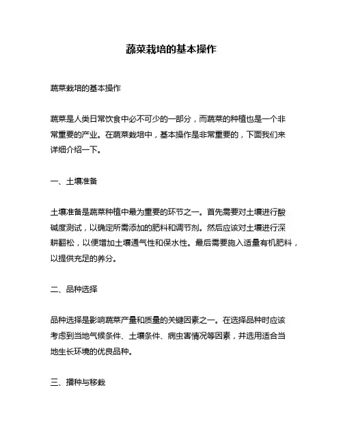蔬菜栽培的基本操作
