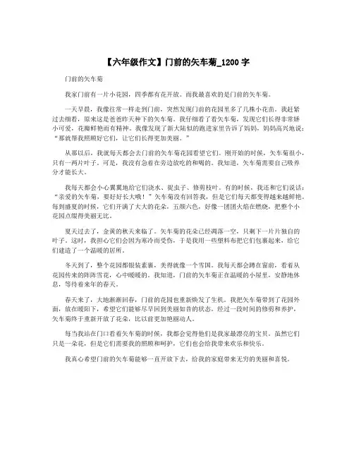 【六年级作文】门前的矢车菊_1200字