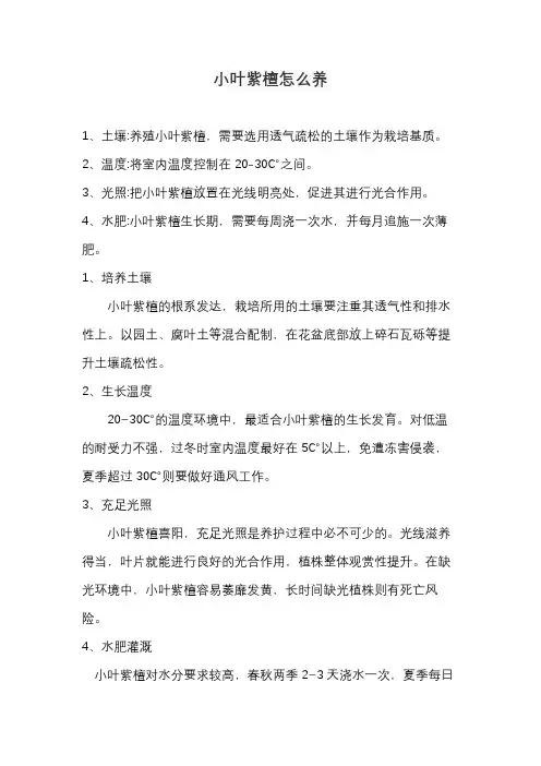 小叶紫檀怎么养