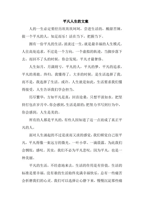 平凡人生的文案