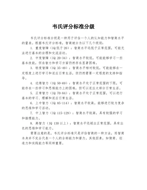韦氏评分标准分级