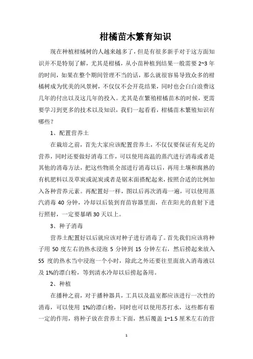 柑橘苗木繁育知识
